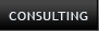 Consulting